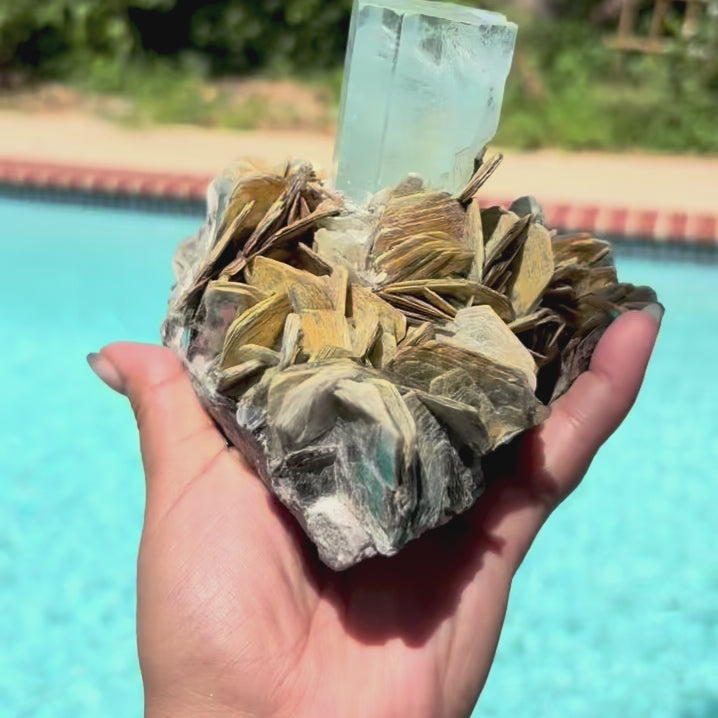 Well Terminated Aquamarine on Muscovite Freeform