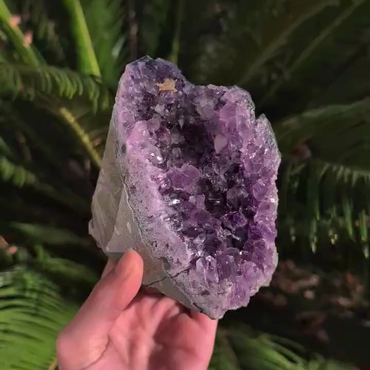 Brazilian Amethyst Freeform