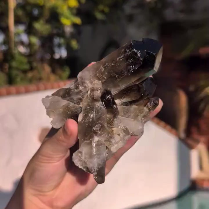 Brazilian Smoky Quartz Crystal Cluster