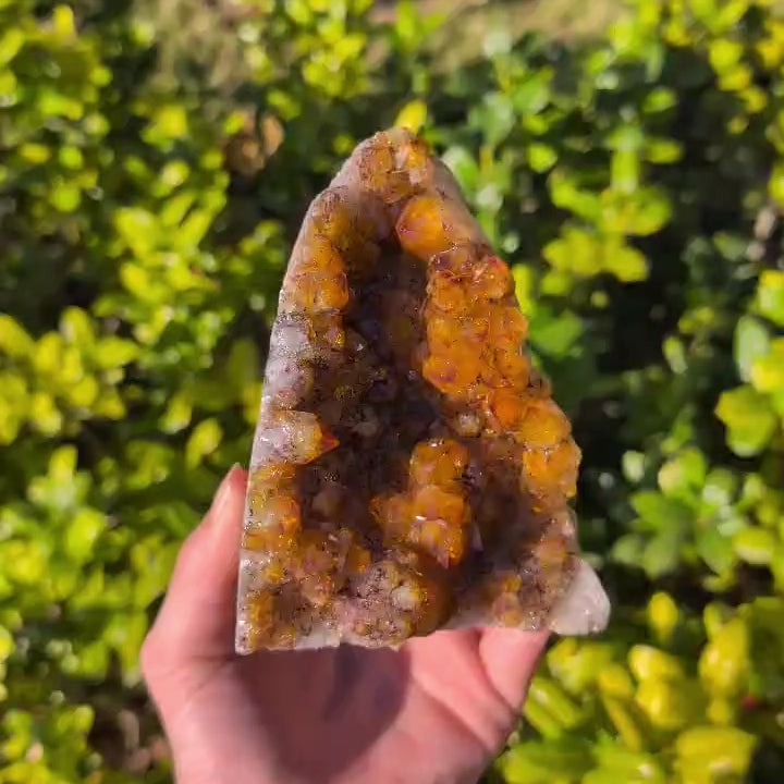 Brazilian Citrine Freeform Cluster