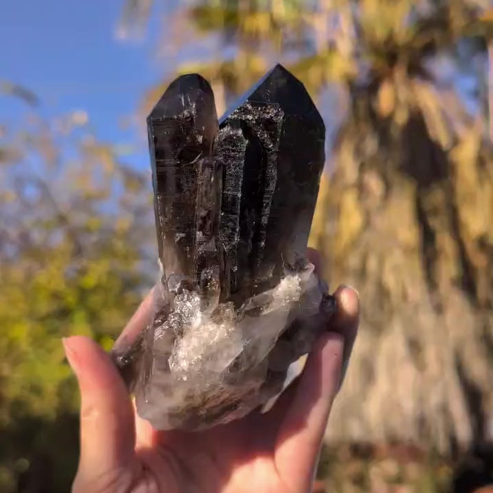 Brazilian Smoky Quartz Crystal Cluster