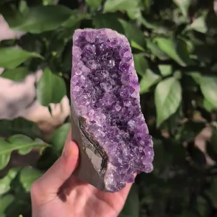 Brazilian Amethyst Freeform